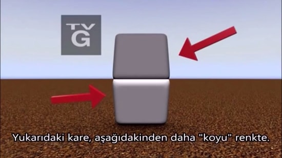 Beynimiz Aslında Bizi Aldatıyor mu?