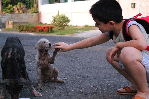 Kısa bir süre sonra paylaştığı fotoğraflarla tüm dünyada sesini duyurarak, "Mutlu Hayvanlar Kulübü" için yeterli parayı toplamayı başarıyor.