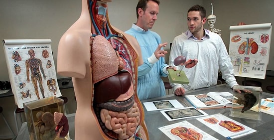 Tıp Eğitiminde Kadavralara Don Giydiriyorlarmış...