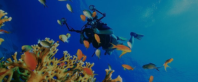 biri scuba diving mi dedi