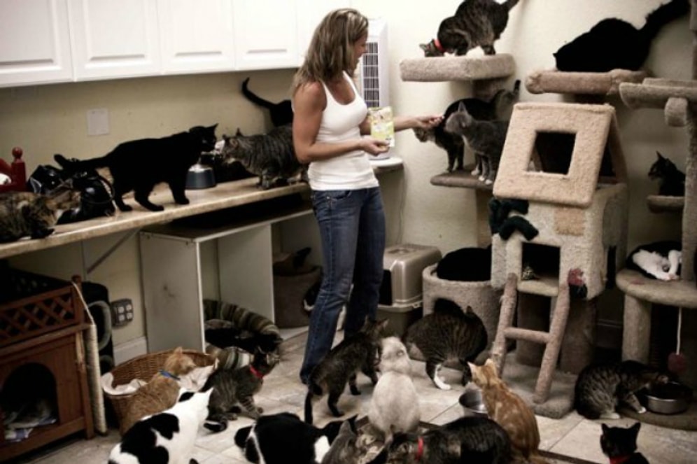 10 Maddede "Kedili Kadın" Kimdir?