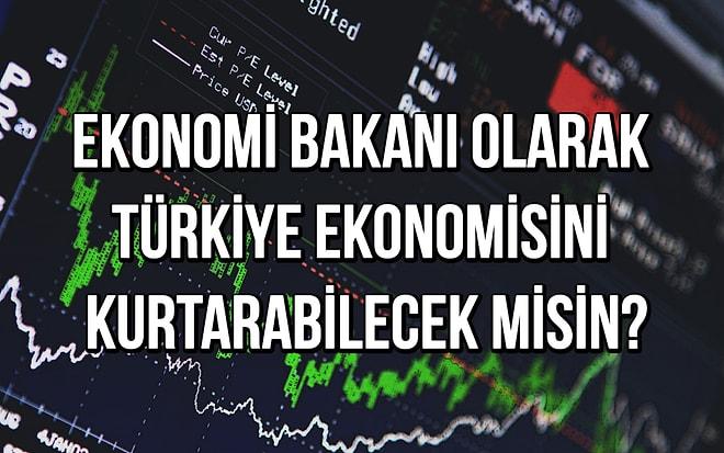 Ekonomi Bakanı Olarak Türkiye Ekonomisini Kurtarabilecek misin?
