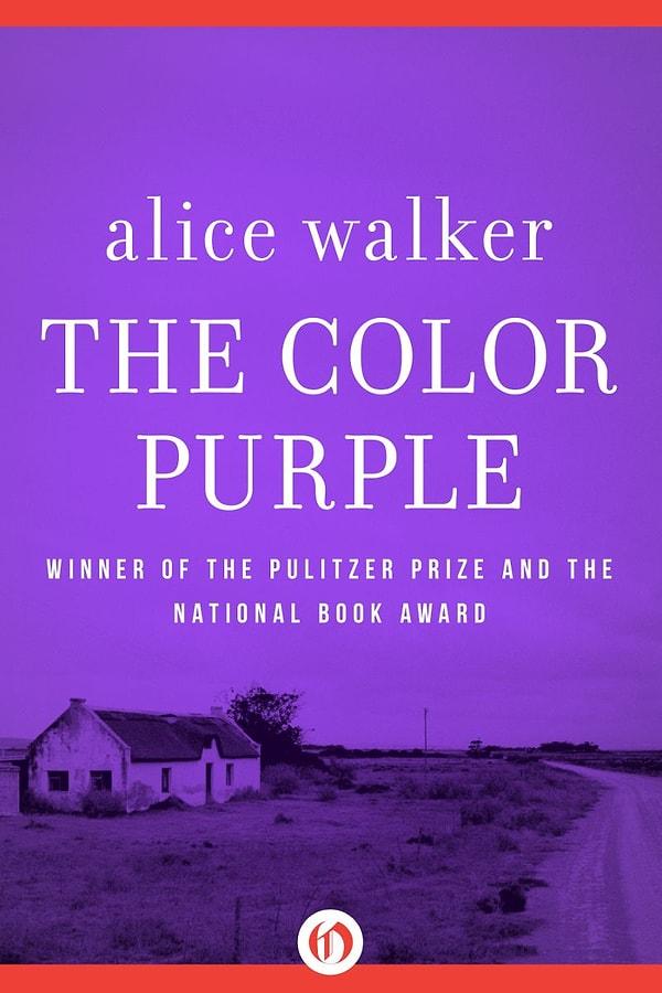 5. Renklerden Moru – Alice Walker