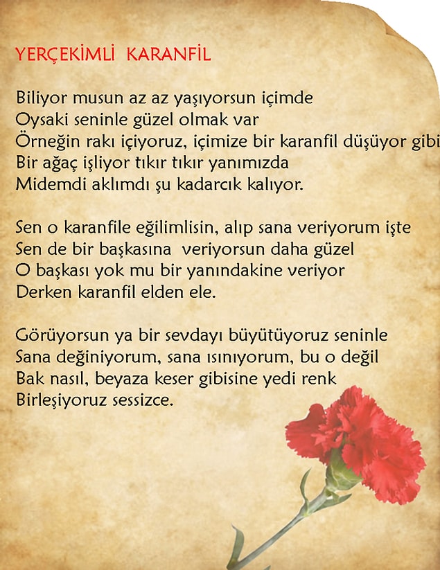 18. Yerçekimli karanfil
