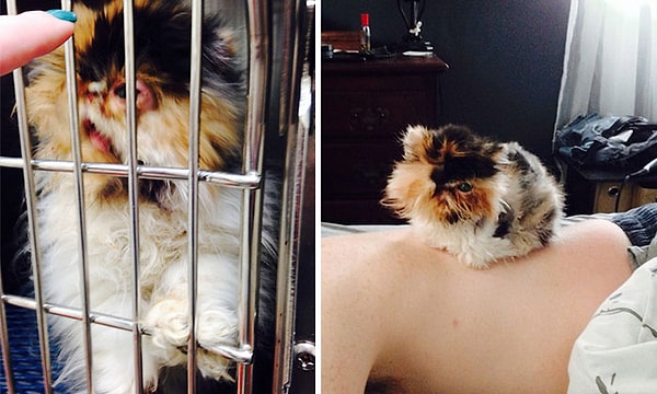 14. У Тайриона инфекция глаз, но это не мешает ему быть лапочкой.