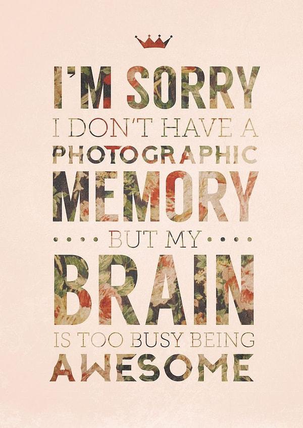 15) Özür dilerim, fotoğrafik hafızam pek yok ama beynim mükemmel olmakla meşgul.