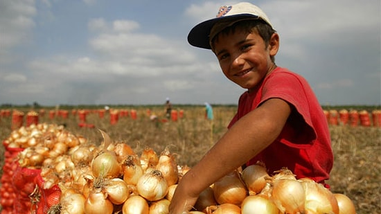 Gıda İthalatı Rekordan Rekora: Kuru Soğan İthalatı 21 Kat Arttı