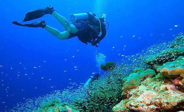 Bodrum - Küçük Reef