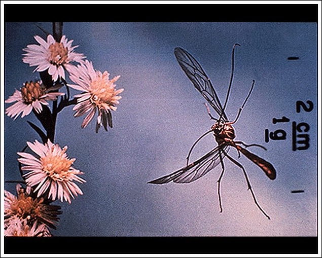 7.