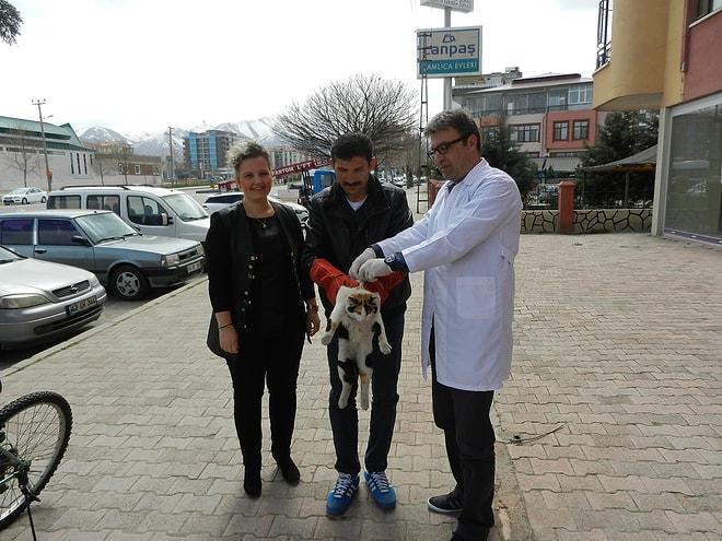 Büyükşehir Belediyesi’nden evcil hayvanlara yönelik aşı kampanyası