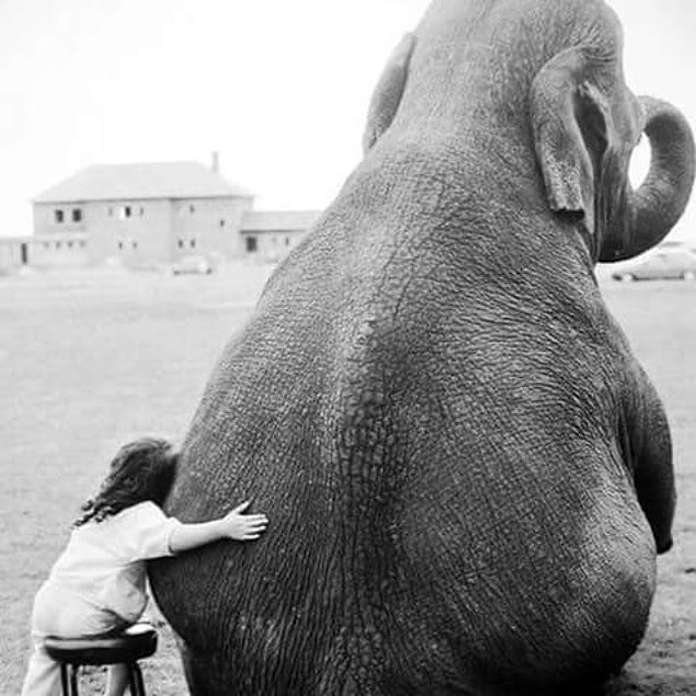 Birisine 20 saniyeden uzun süre sarıldığınızda, beyinde"sosyal bağlanma"dan sorumlu oksitosin hormonu salgılanıyor ve böylece bu kişinin size daha çok güvenmesini sağlıyorsunuz.