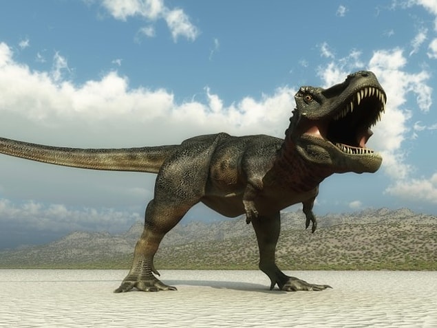 10. Dinozorlar olmasaydı kuşlar olmazdı.