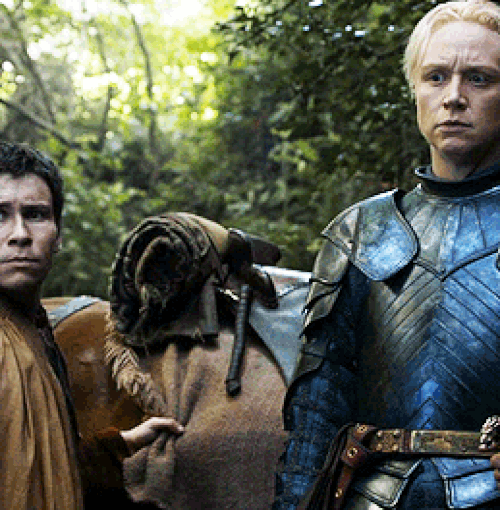 Brienne, Jamie ile olan uzun yolculuğunu Kralın Şehri'de bitirmiş ardından Sansa ve Arya Stark'ı bulmak için Tyrion'un eski yaveri Podrick ile yeni bir yolculuğa atılmıştı.