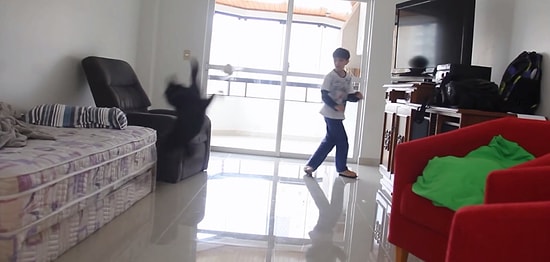 'Taffarel' Lakaplı İnanılmaz Kurtarışlar Yapan Kedi