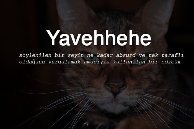 18. Yavehhehe