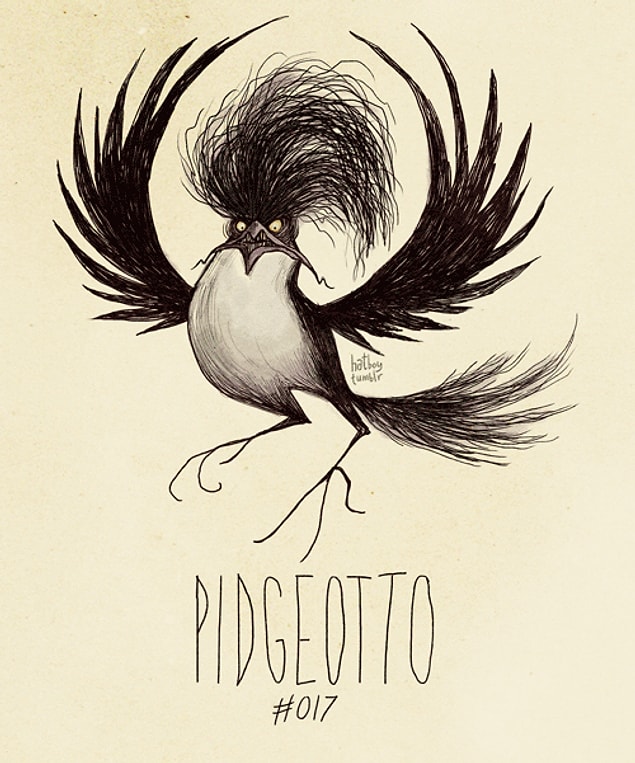 17. Pidgeotto