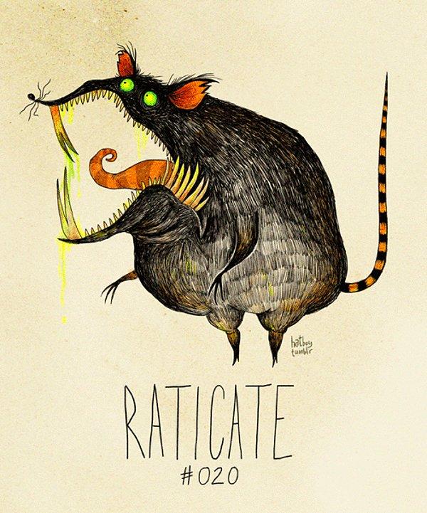 20. Raticate