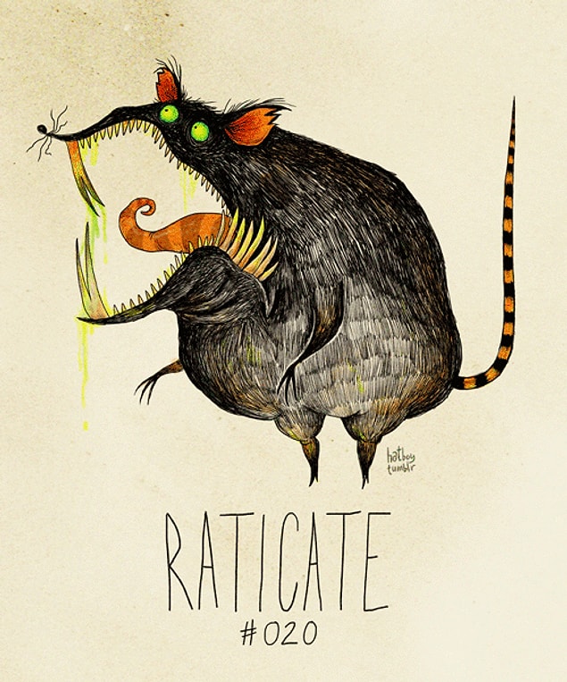 20. Raticate