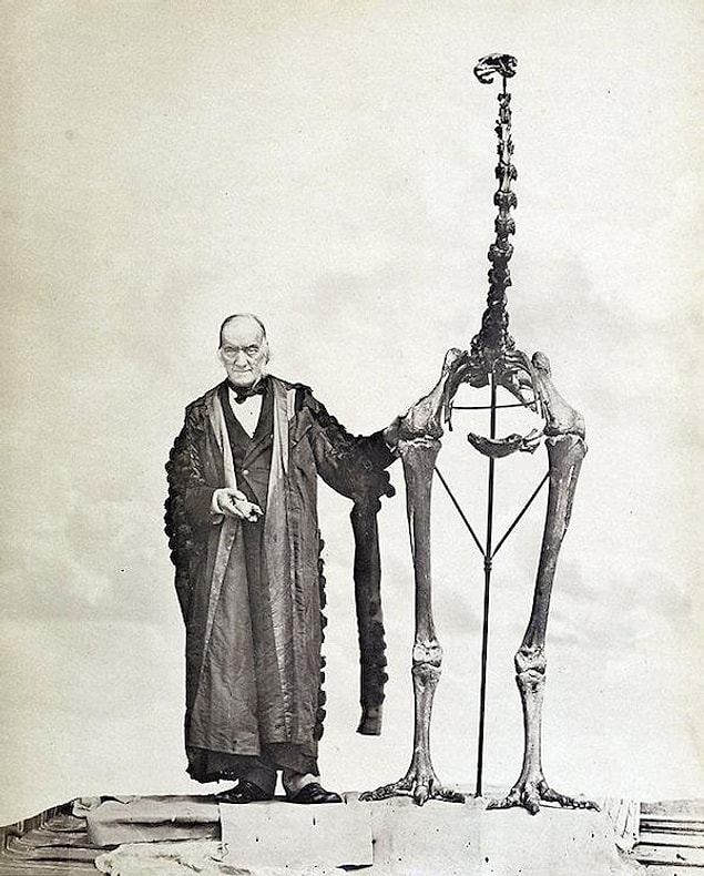 4. Moa