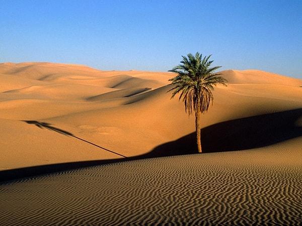 10 Temmuz 1913 Yılında Libya'nın El Azizia Çölünde Bugüne Kadar Ölçülen En Yüksek Sıcaklık 56.7 Derece Olarak Kaydedildi.