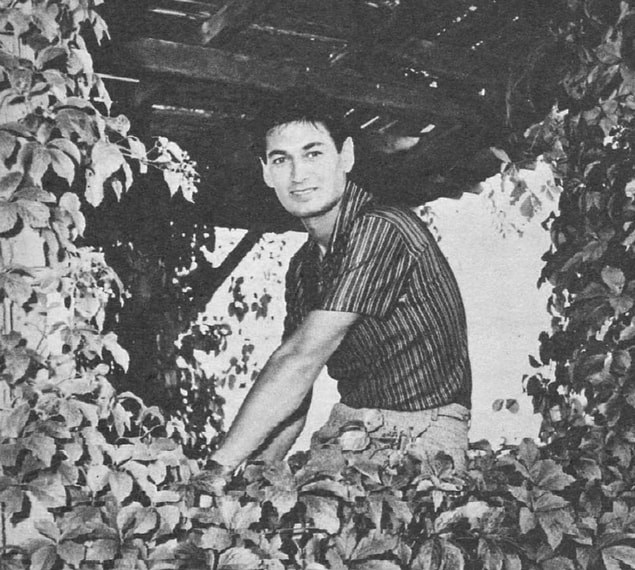 17. Adnan Şenses