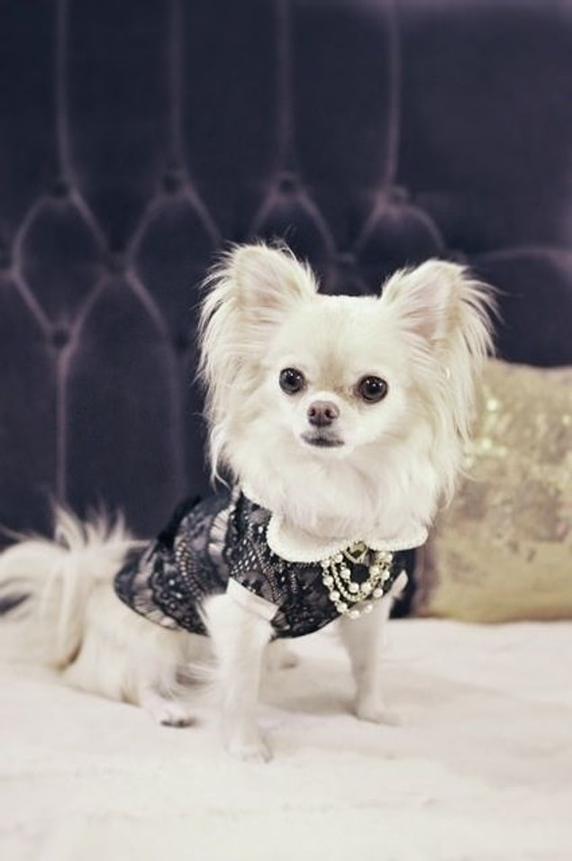 23. İlham kaynağım: Chanel