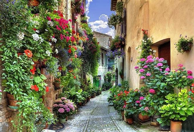 Ağaçlar ve Çiçekler ile Büyüleyici Bir Hale Gelen Çok Romantik 15 Sokak
