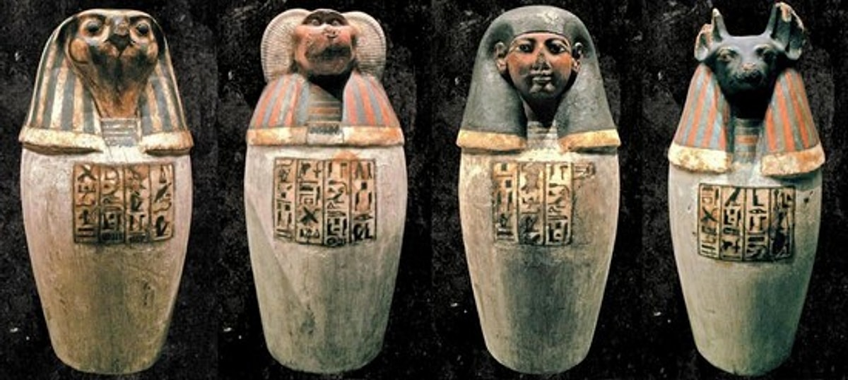 Vasos canopos