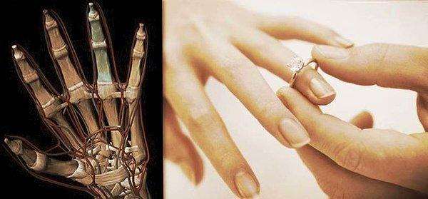 2. Nişan yüzüğümüzü elimizin dördüncü parmağına takarız çünkü bir zamanlar bu parmağın doğrudan kalp ile bağlantısı olduğu düşünülürdü.