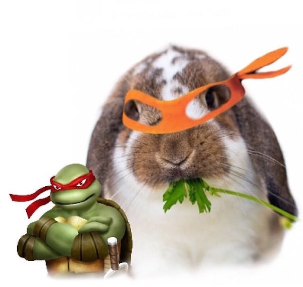 Michelangelo