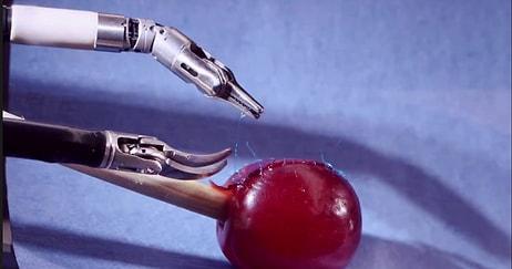 Parçalanmış Üzümü Diken İnanılmaz Cerrahi Robotu