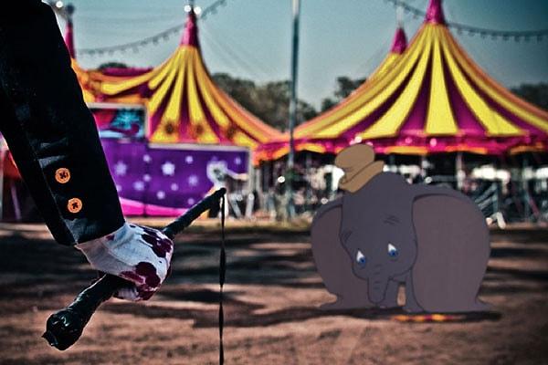 11. Dumbo