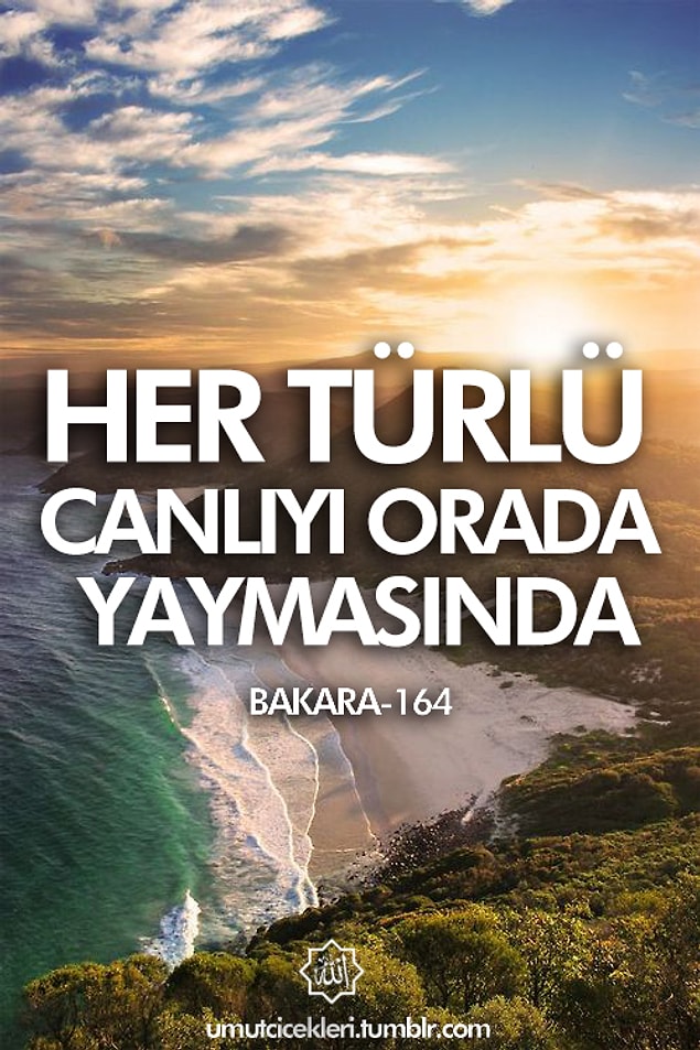 14. Her türlü canlıyı orada yaymasında