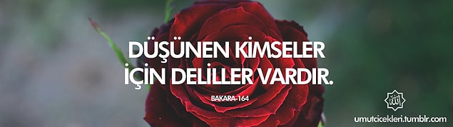 16. Düşünen kimseler için deliller vardır.