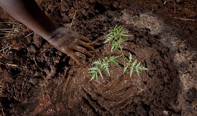 5. Sahraaltı Afrika'da yaşayan her 4 kişiden 1'i açlık çekmekte.