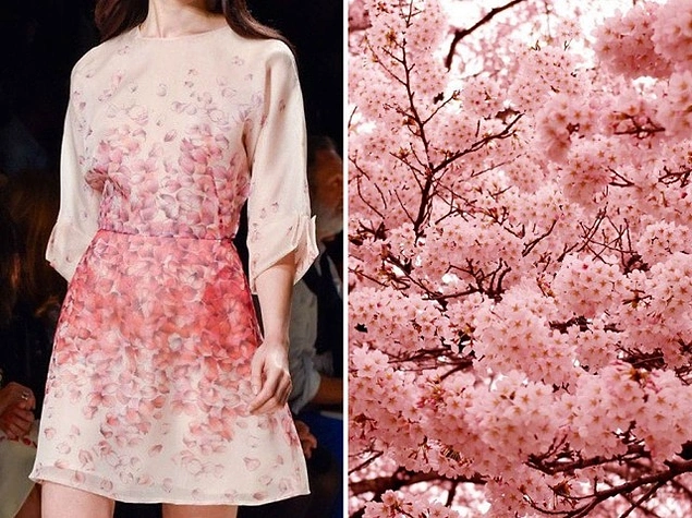 Japon Kiraz Ağaçları
