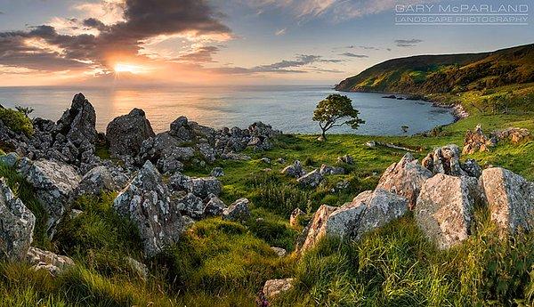 12. Demir Adalar: Murlough Körfezi, İrlanda