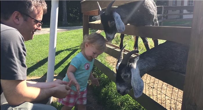 Çocuklardan İntikamlarını Feci Şekilde Alan 21 Hayvan