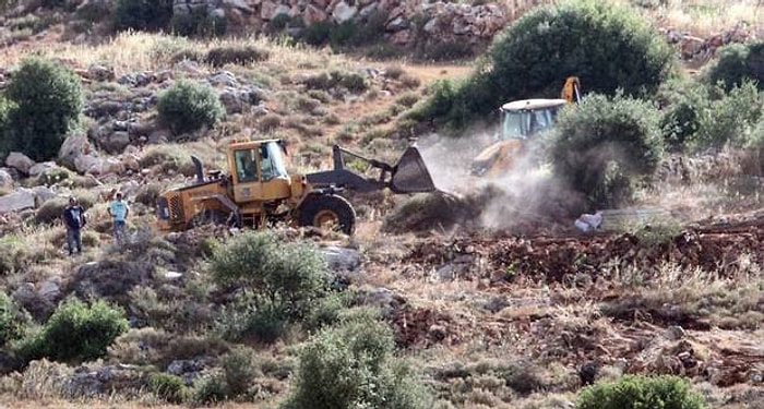 İsrail Filistinlilerin Bin Ağacını 'Yasadışı' Diyerek Kesti