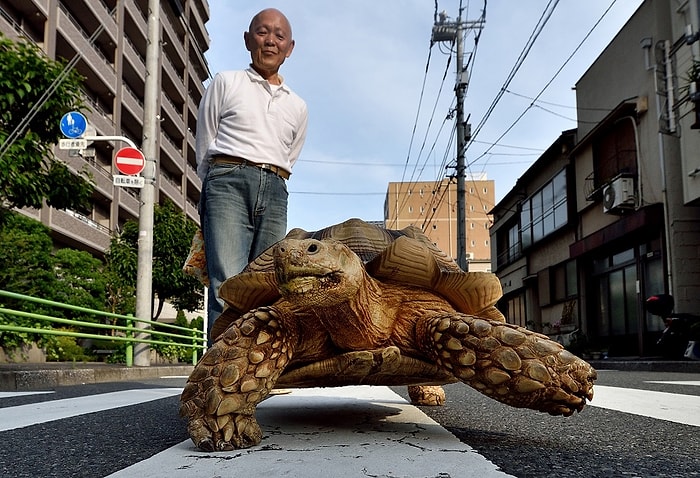 15 Fotoğrafla Tokyo Sokaklarından İçinizi Isıtacak Bir Arkadaşlık Öyküsü