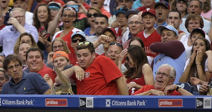 Beyzbol Maçında Seyircilerin Arasına Uzun Soluklu Atlayış Yapan Sincap