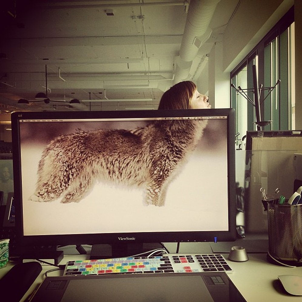 Dünyanın Dört Bir Köşesindeki Ofis Çalışanlarını Etkisi Altına Alan Acayip Akım