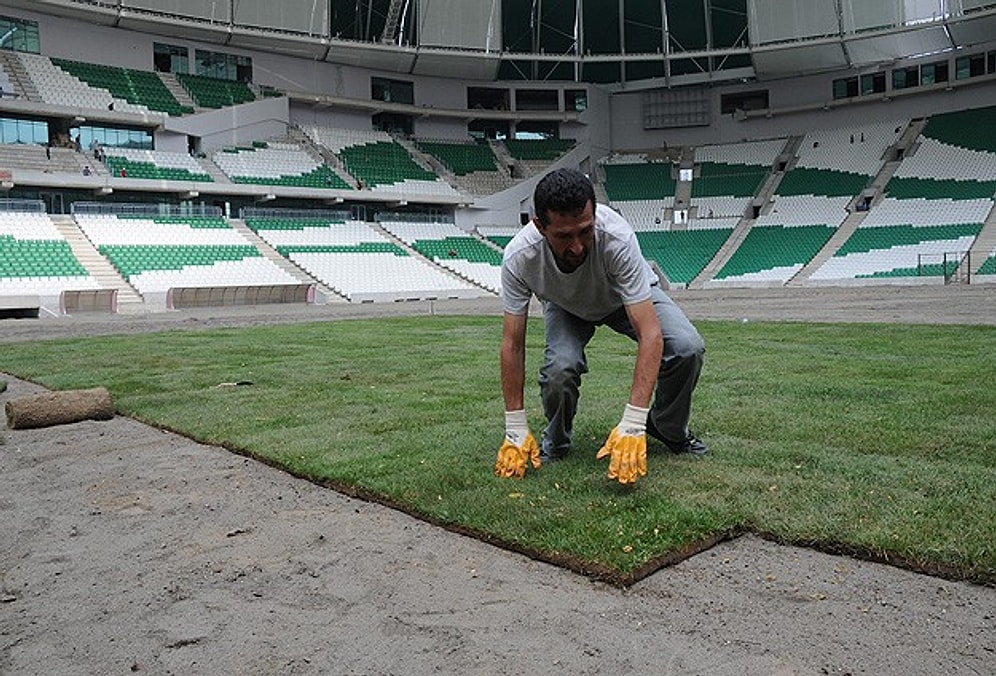 Timsah Arena Çimleniyor