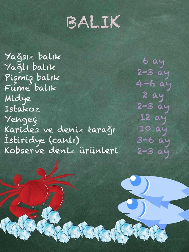 Aklınıza Gelebilecek Hemen Her Tür Gıdanın Bozulmadan Buzlukta Muhafaza Edilebileceği Maksimum Süreler 96