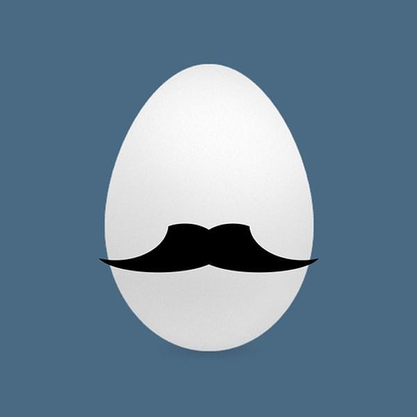 27. Twitter'da yeni hesap açıldığında oluşan yumurtalı profil fotoğrafının, Twitter kuşunun yumurtladığı yeni üyeleri simgelemesi.