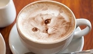 Sabah Kahvenizde Kendi Resminizi Bile Görmeniz Artık Pek Mümkün: Latte Printer'ı Ripple
