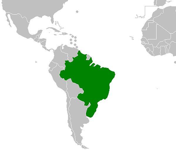 13. Empire of Brazil (3.28 million miles square)