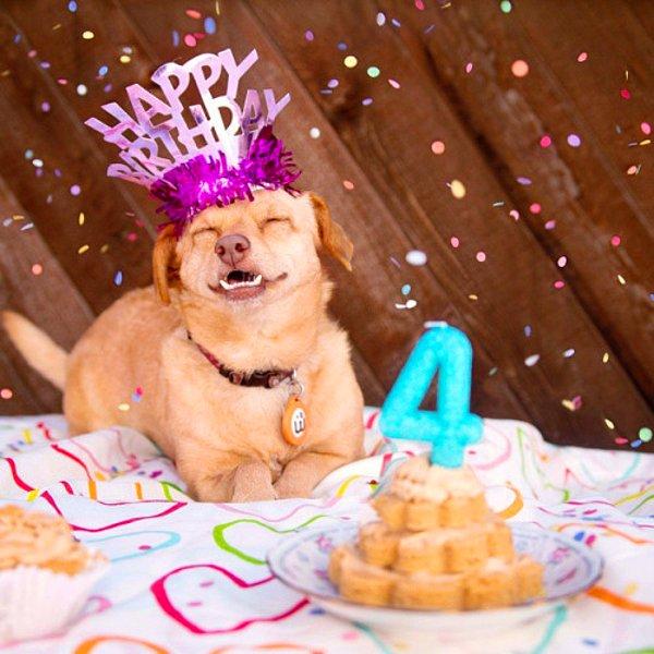 Daisy yakınlarda doğum gününü kutladı ve şimdi 5 yaşında !