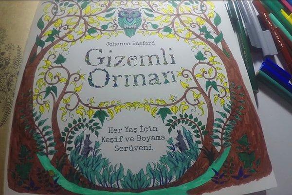 13. İkinci kitap Gizemli Orman'ın satışına başlanmıştır.