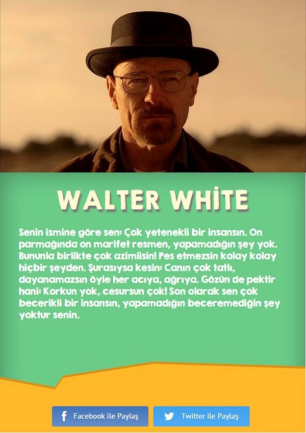 19. Walter White